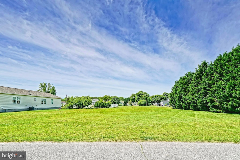 Lot 14 Waples St, Dagsboro, DE 19939 - photo 1