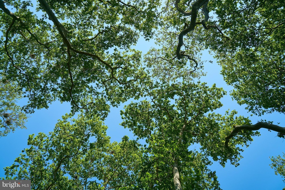 10405 Piney Branch Rd, Spotsylvania, VA 22553 - photo 1