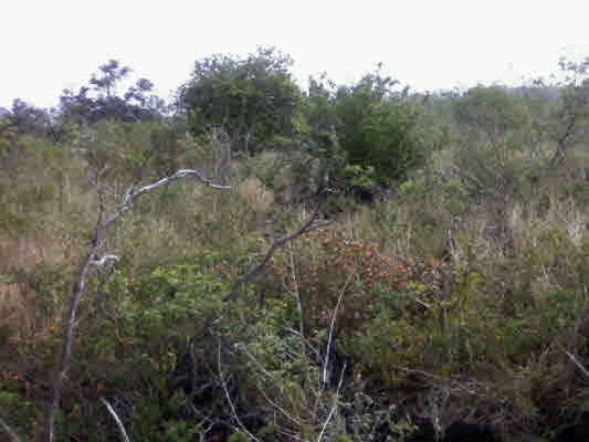 0 Paradise Pkwy unit 254335, Ocean View, HI 96737 - photo 1