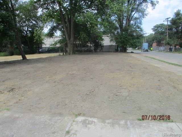 009.JPG