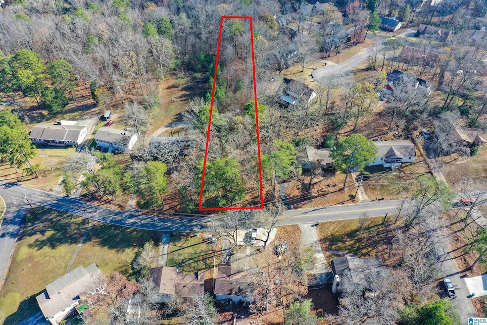 1409 Pine Tree Dr, Birmingham, AL 35235 - photo 1