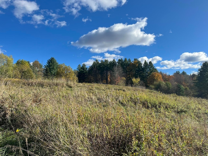 0 Old Farm Rd unit C 4982662, Stowe, VT 05672 - photo 1