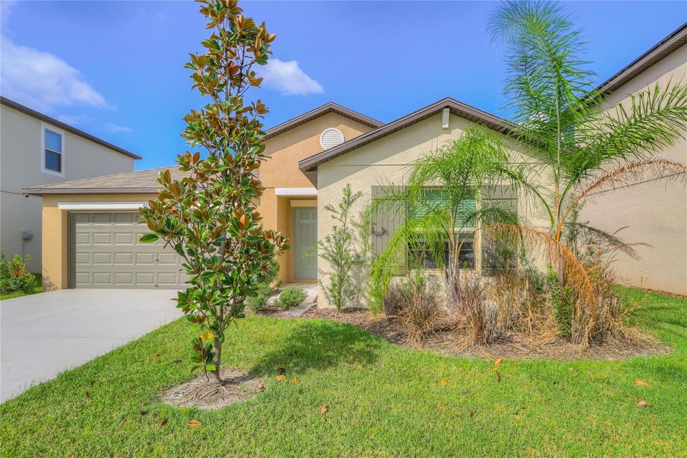 8694 Parsons Hill Blvd, Wesley Chapel, FL 33545 - photo 1