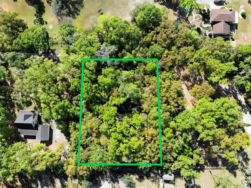 3407 Robinson St, Zellwood, FL 32798 - photo 1