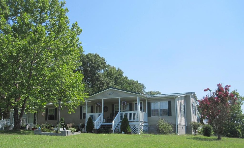 Main View