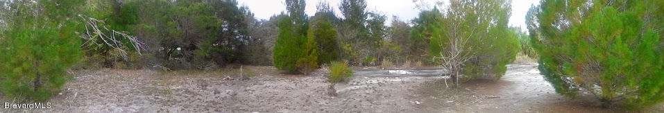panorama view