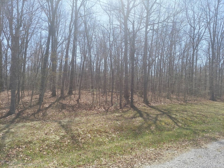 0 Rhonda Rd unit 11595335, Monterey, TN 38574 - photo 1