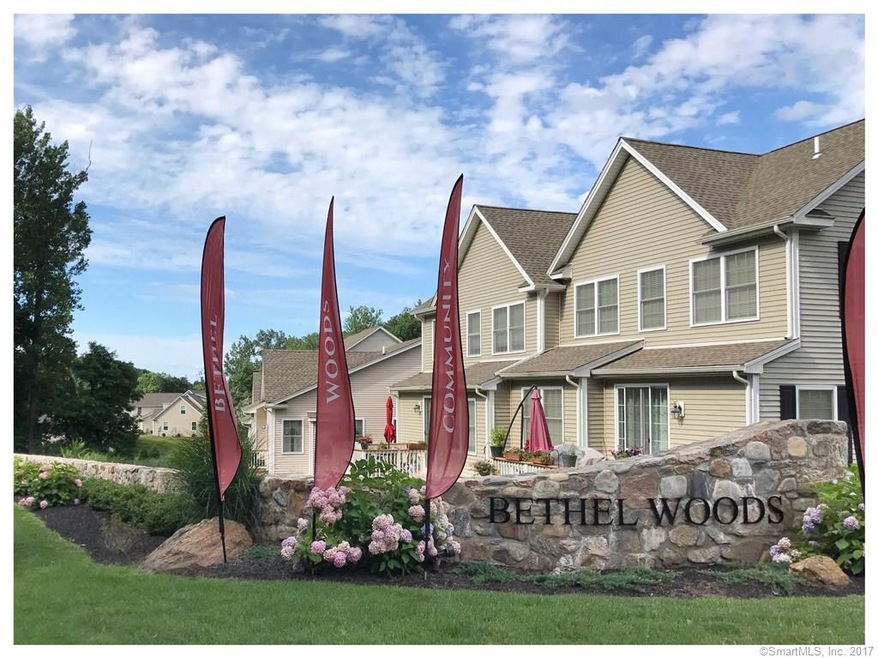 1 Forest Way unit 20, Bethel, CT 06801 - photo 1