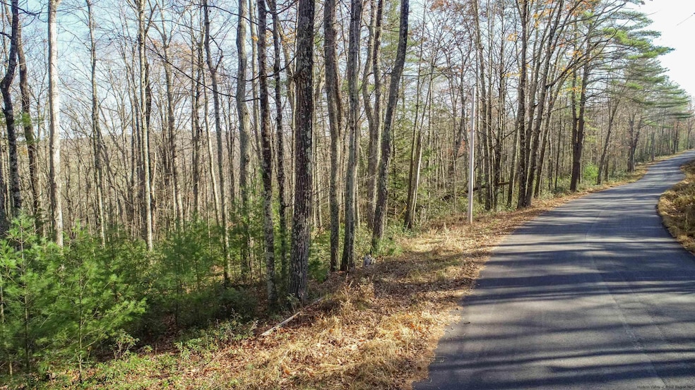 TBD Bennett Rd, Wawarsing, NY 12458 - photo 1