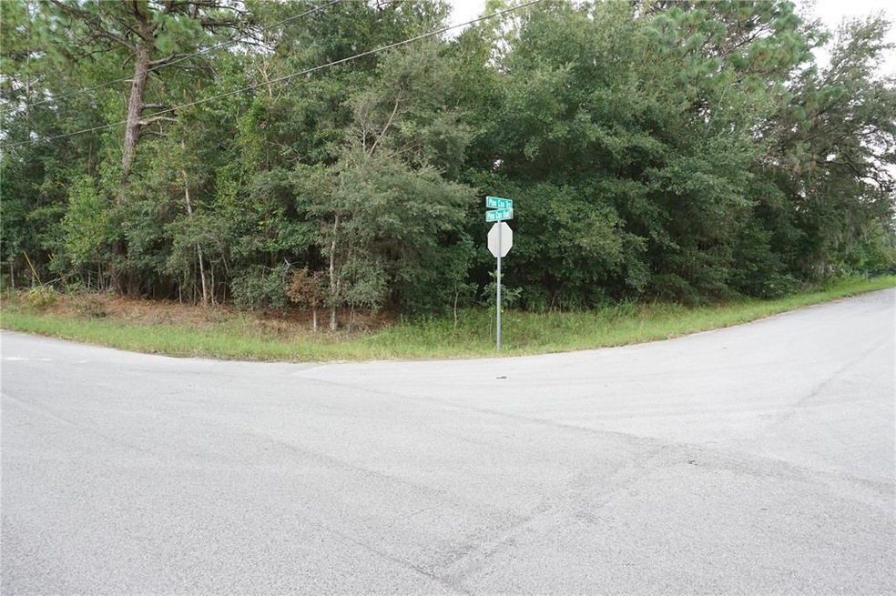 Corner Lot