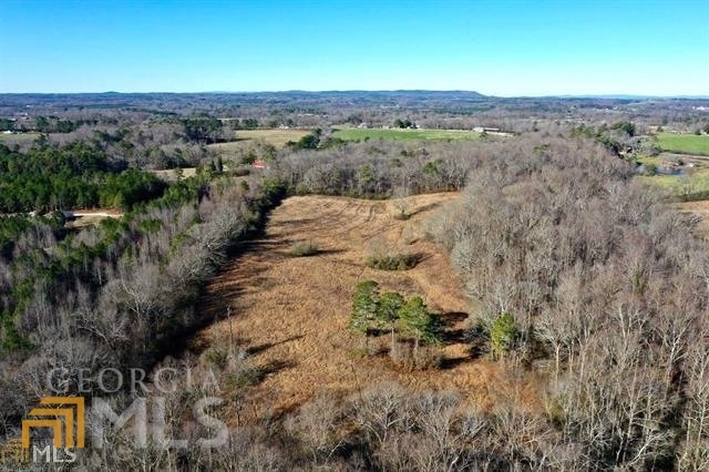 0 Brickyard Rd unit 20012052, Bowdon, GA 30108 - photo 1