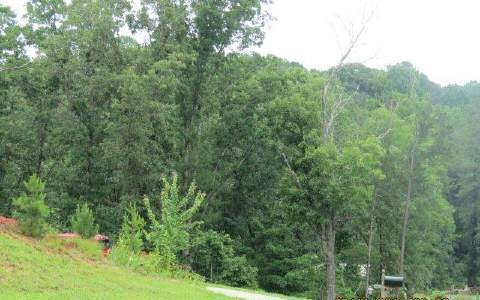 19 LT Wyngate S D, Ellijay, GA 30540 - photo 1