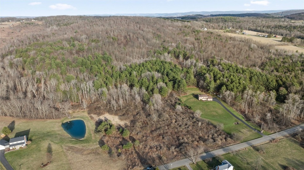 0 Foster Valley Rd unit 330660, Owego, NY - photo 1