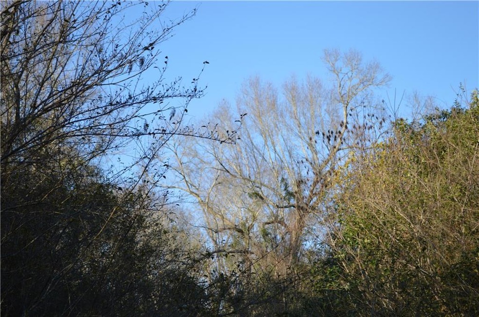 0 Bateman Rd, Franklinton, LA 70438 - photo 1