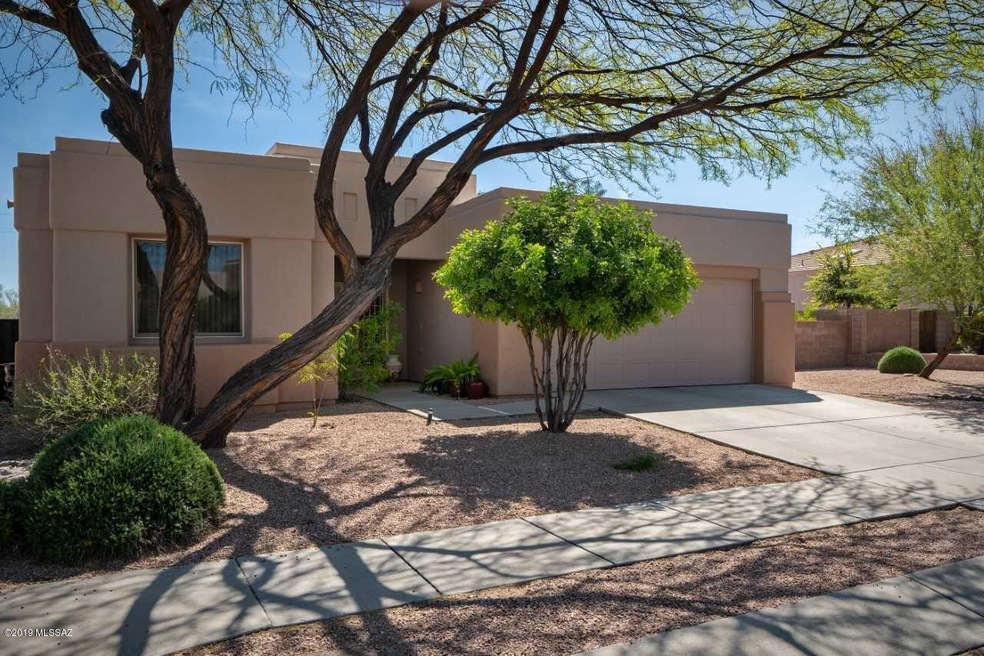 Large, Premium Lot