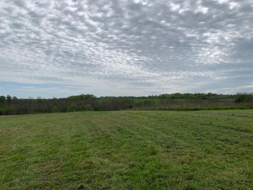 1618 Cummins Ferry Rd, Bondville, KY 40372 - photo 1