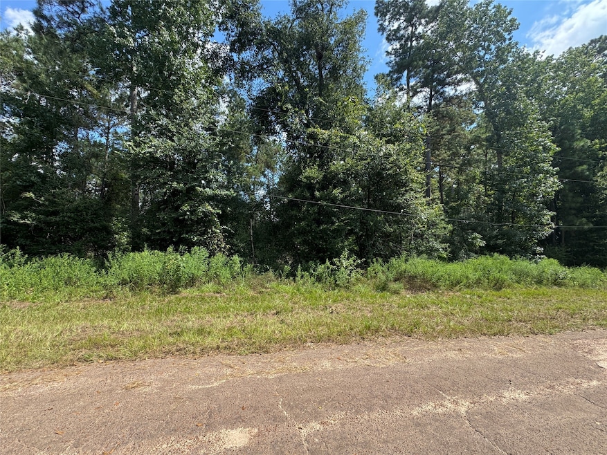 0 Mcrae Cir, Conroe, TX 77303 - photo 1