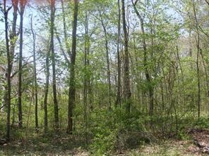 unlisted-address, Greensburg, IN 47240 - photo 1