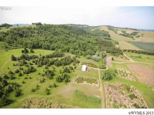 16460 SW Oldsville Rd, McMinnville, OR 97128 - photo 1