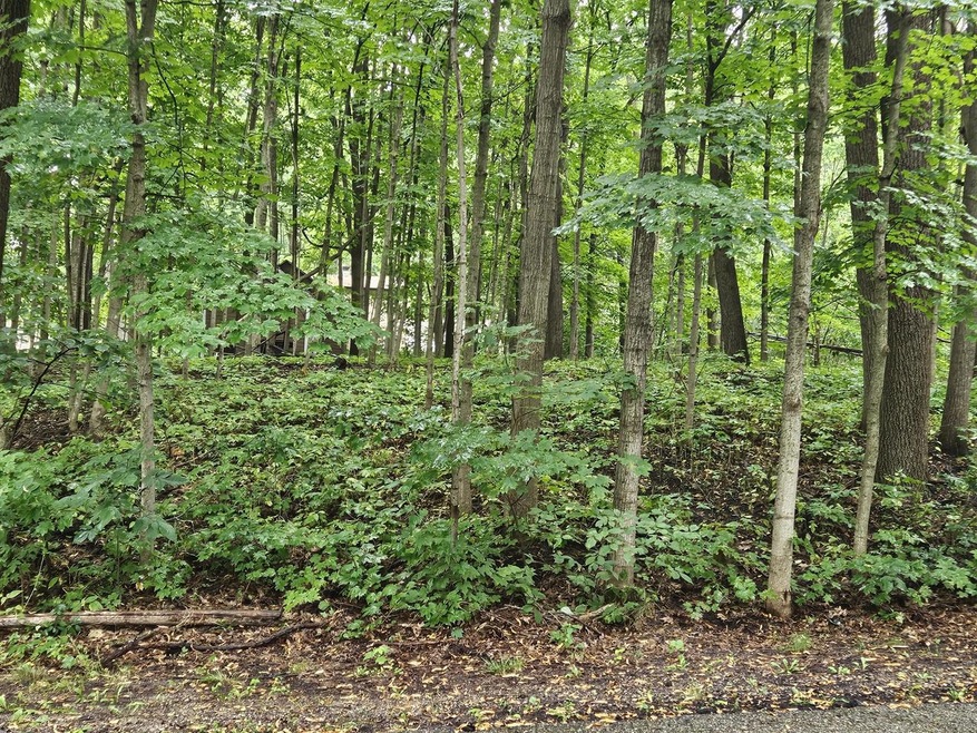 Lot 2