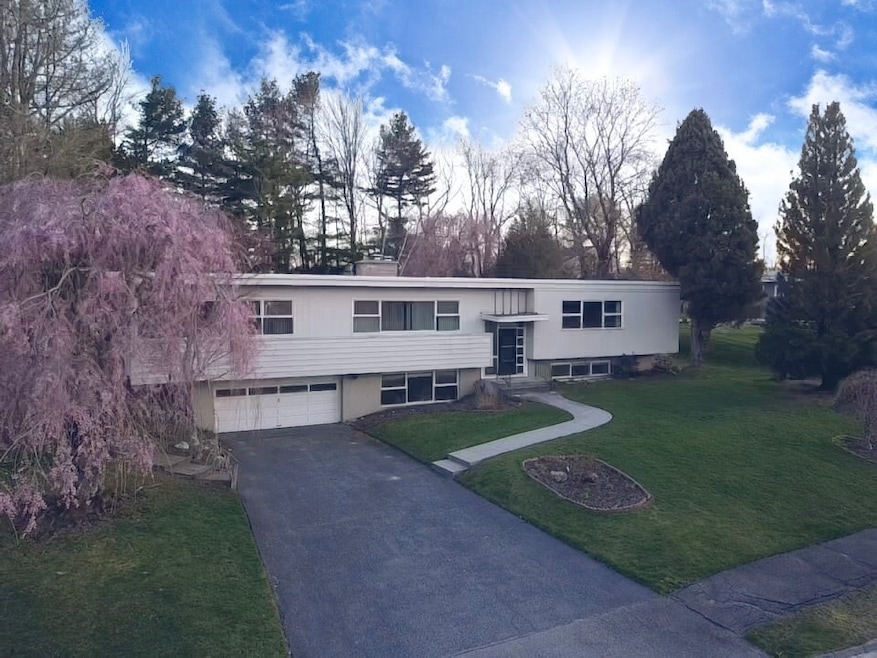 142 Winifred Ave, Worcester, MA 01602 - photo 1