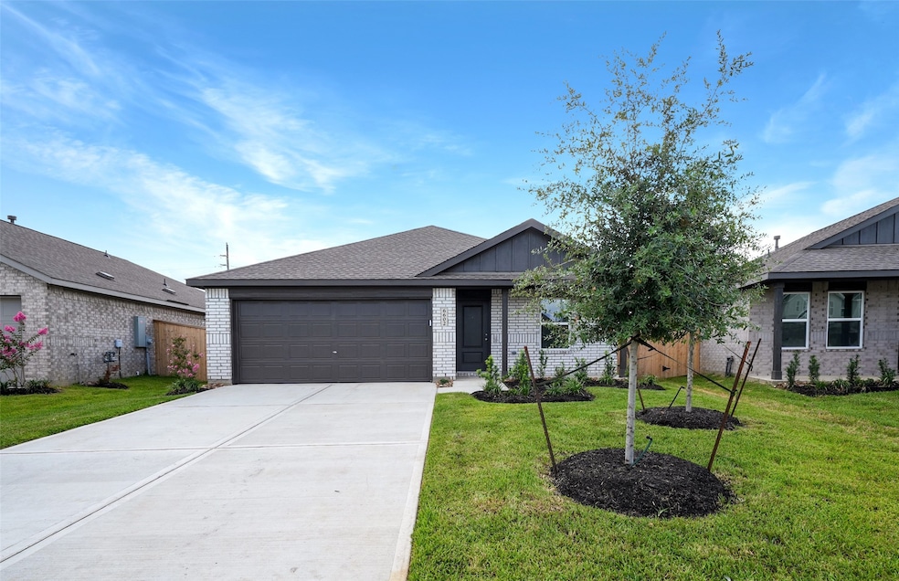 6602 Tricolor Beech Ln Front