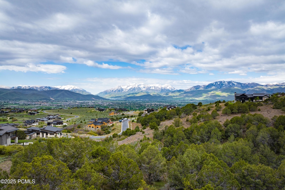 View of Mt. Timpanogos