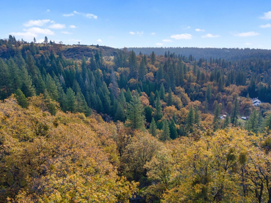 0 Apn#077-021-032-000 unit 225143969, Pollock Pines, CA 95726 - photo 1