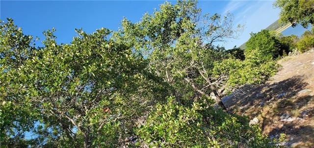 15819 Lovetta Ln, Temple, TX 76502 - photo 1