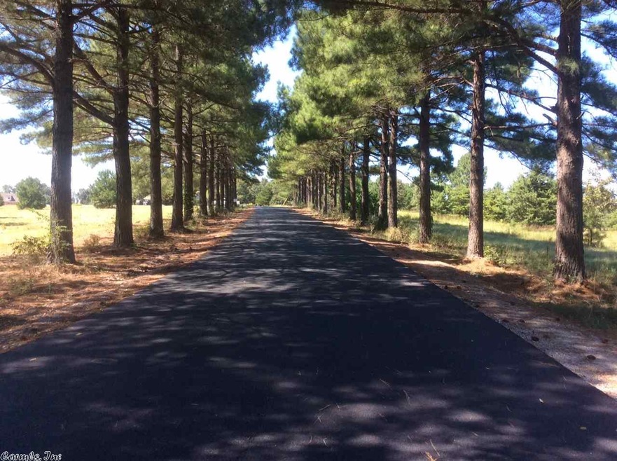 LOT 13 Cr 7612, Brookland, AR 72417 - photo 1