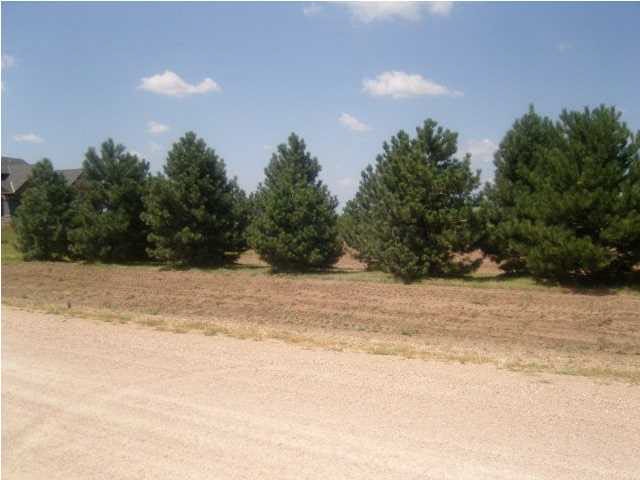 This is the front/street view of the lot. Seller p