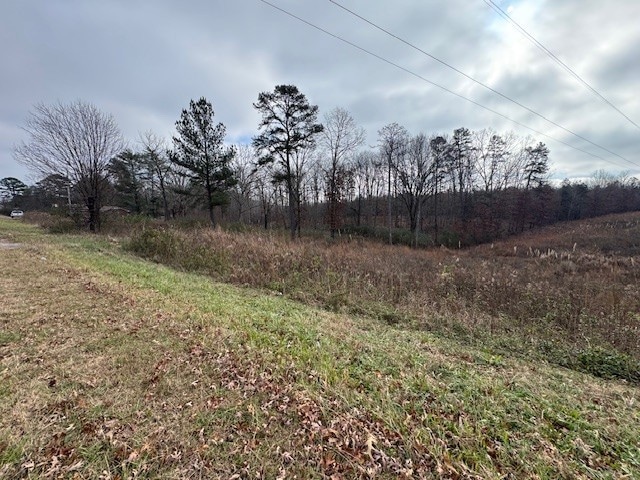 0 Columbia Hwy unit RTC3058032, Hohenwald, TN 38462 - photo 1