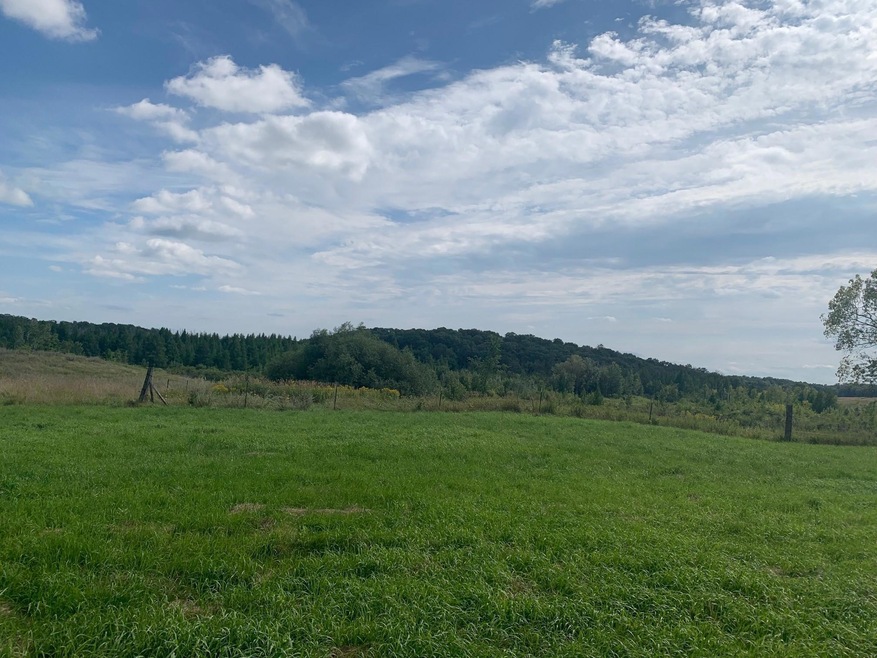 22455 Ginseng Rd, Long Prairie, MN 56347 - photo 1