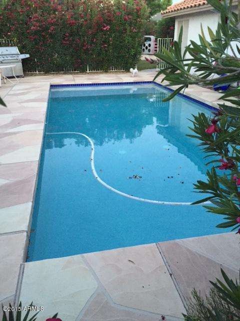 quail pool