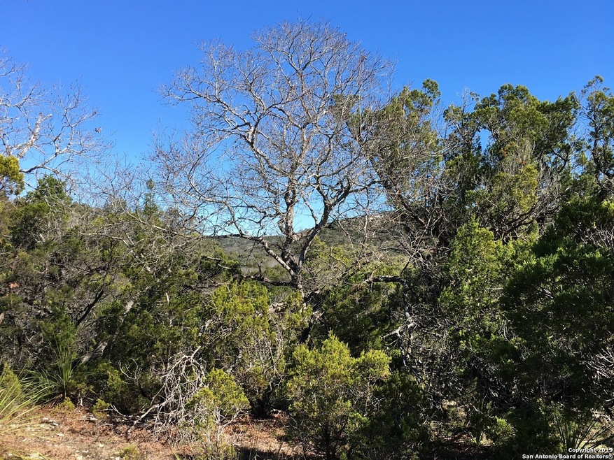 19693 Bluehill Pass, Helotes, TX 78023 - photo 1