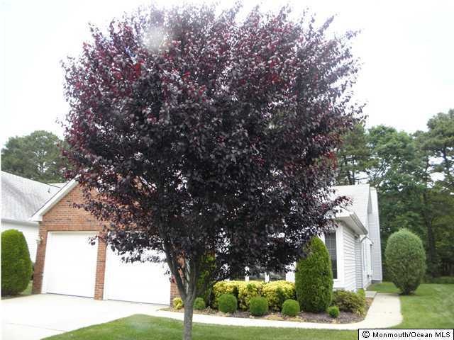 1626 Sweetbay Dr, Toms River, NJ 08755 - photo 1