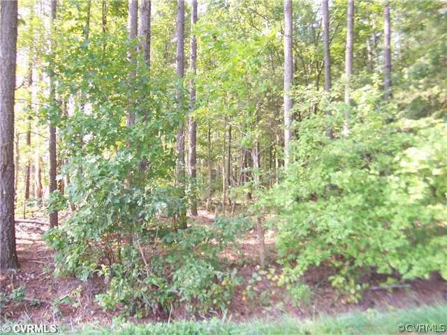 0 Green Level Rd unit 1322993, King William, VA 23009 - photo 1