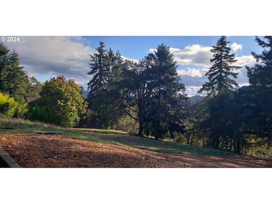 284 Edgeview Dr, Elkton, OR 97436 - photo 1