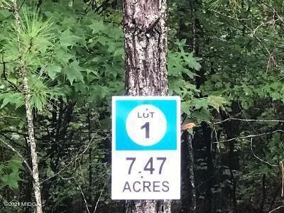 Lot 1
