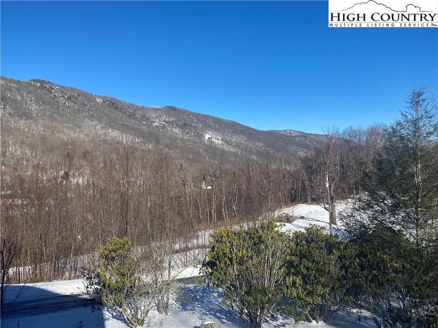 471 Adams Apple Dr unit 3, Banner Elk, NC 28604 - photo 1