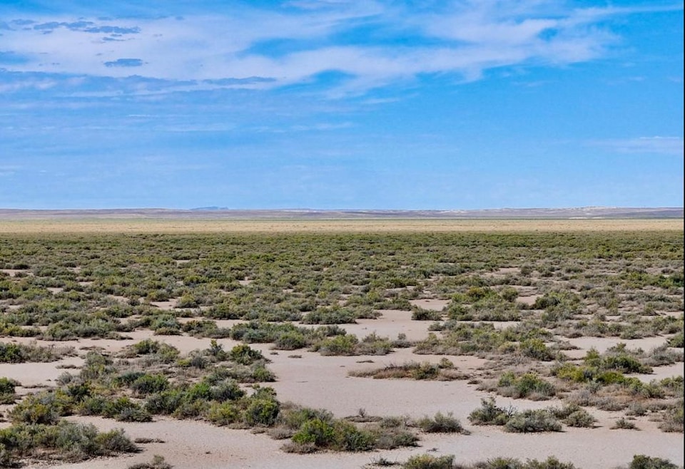 San Pablo Rd SE, Deming, NM 88030 - photo 1