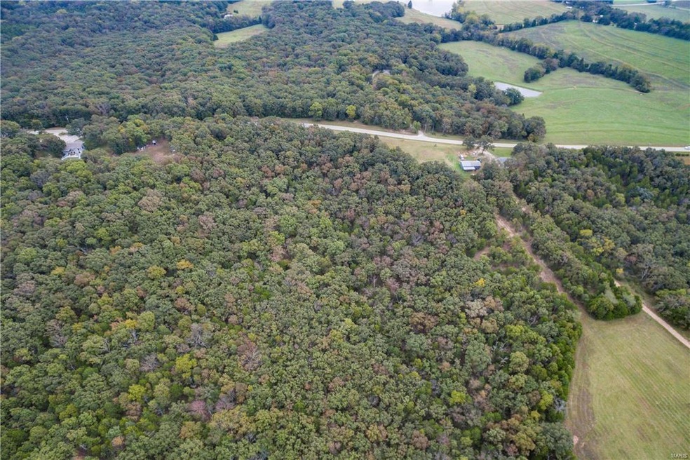 49+/- Missouri Hh, Robertsville, MO 63072 - photo 1