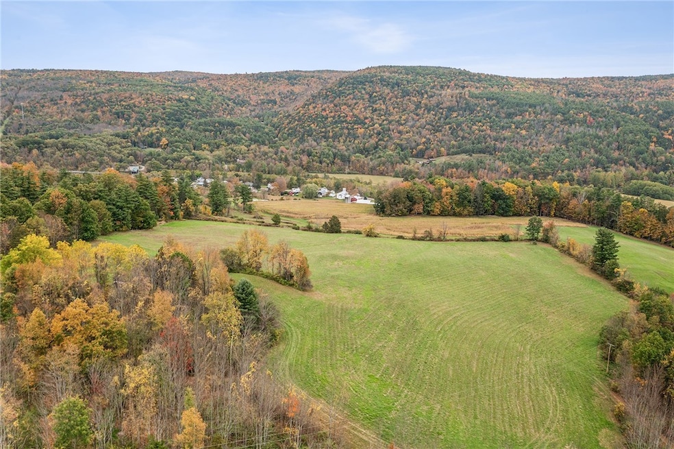171 W Kill Rd, Jefferson, NY 12093 - photo 1
