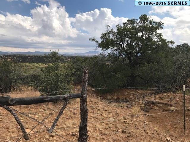 0 Xyz Ranch Rd unit Corner of XYZ and Oa, Silver City, NM 88061 - photo 1