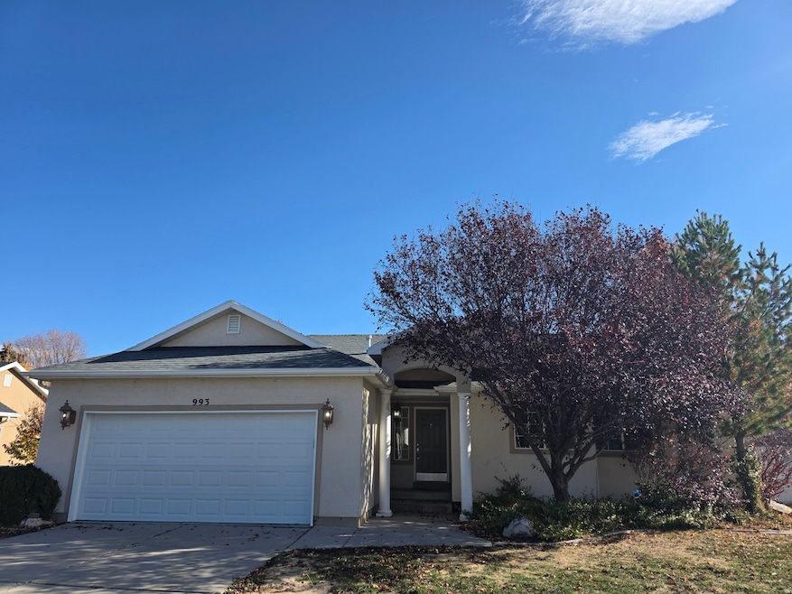 993 S 1660 E, Spanish Fork, UT 84660 - photo 1