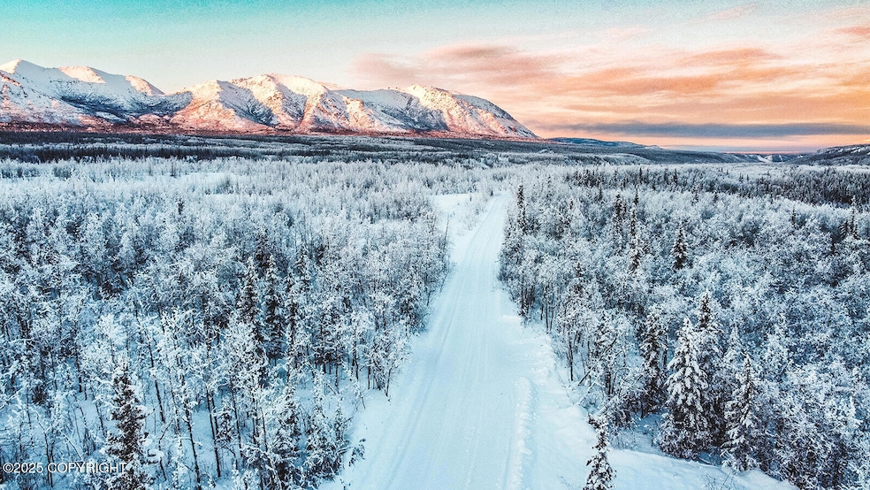 Mile 73.5 Richardson Hwy, Chitina, AK 99566 - photo 1