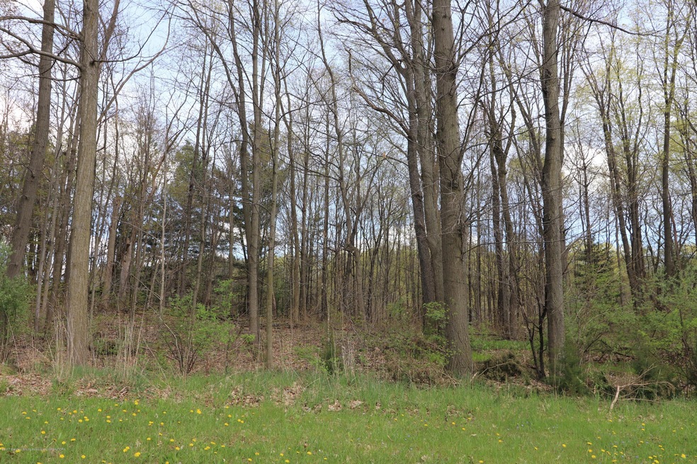 Lot 34