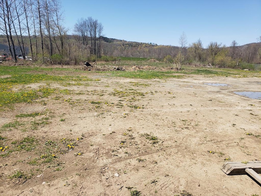 - S Main St, Mansfield, PA 16933 - photo 1