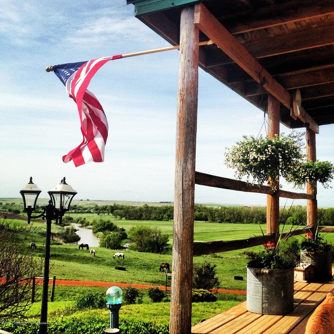 Flag view