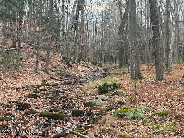 L7.1 Nugent Rd, Grafton, NY 12052 - photo 1